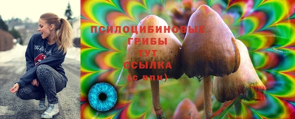 дмт Балахна